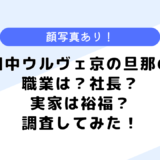 田中ウルヴェ京の旦那の職業は？社長？父親や実家について調査してみた！