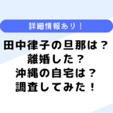 田中律子の再婚相手はどんな人？元夫との離婚の理由や現在の自宅についても調査してみた！