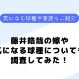 藤井皓哉の嫁や彼女、家族は？なぜ背番号48？成績や球種を調査してみた！