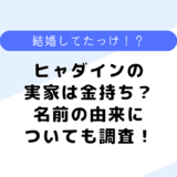 ヒャダインの実家は金持ち？結婚してる？名前の由来についても調査！