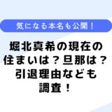 堀北真希の現在の住まいはどこ？本名や旦那さんなどについても調査してみた！