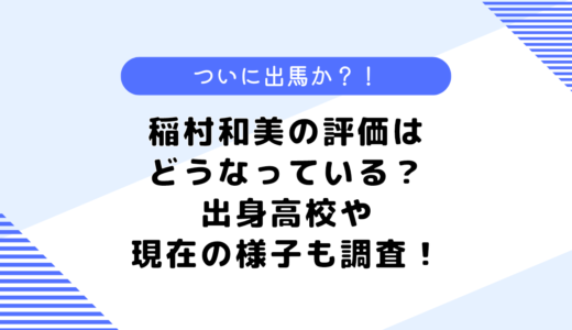 稲村和美の評価はどうなっている？実績は？出身高校や現在の様子も調査！