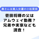 菅田将暉の父はアムウェイ勤務？父の若い頃は？母や兄弟、嫁についても調査！