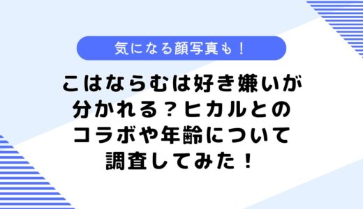 こはならむは好き嫌いが分かれる？顔写真は？などについて調査してみた！