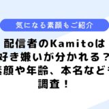 Kamitoは好き嫌いが分かれる？素顔や年齢、本名について調査してみた！