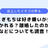 とぎもちは好き嫌いが分かれる？離婚した？などについて調査してみた！