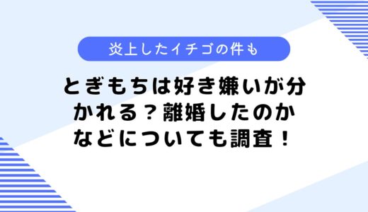 とぎもちは好き嫌いが分かれる？離婚した？などについて調査してみた！